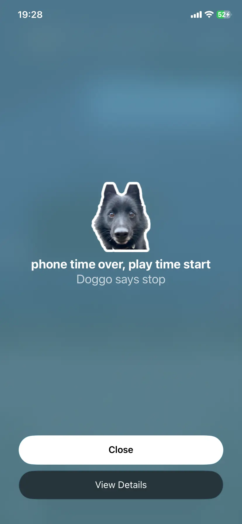 ScrollBump shield with Nyx the dog